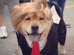 trump-dog